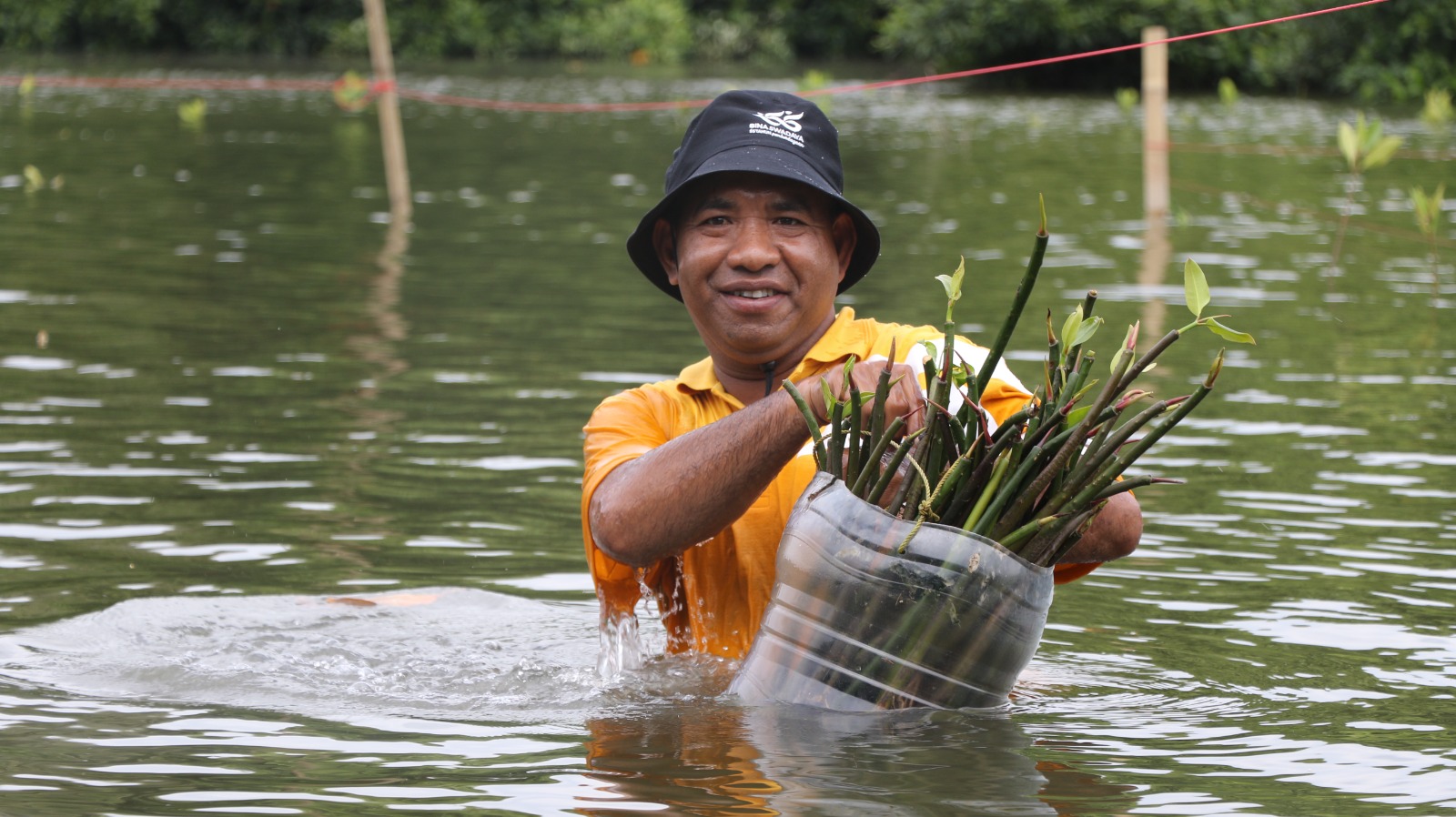 source: Bina Trubus Swadaya, Indonesia